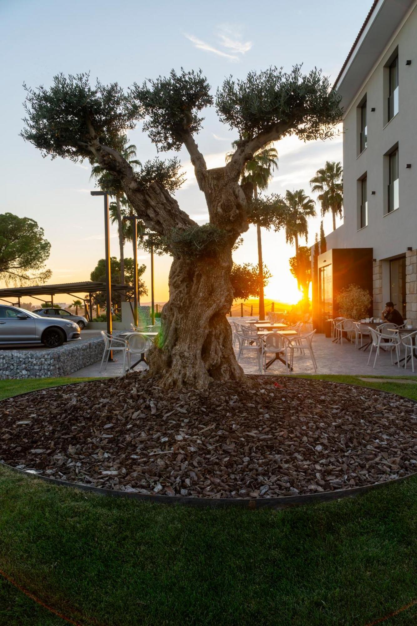 Hotel Rural Finca La Desa Miajadas Екстер'єр фото